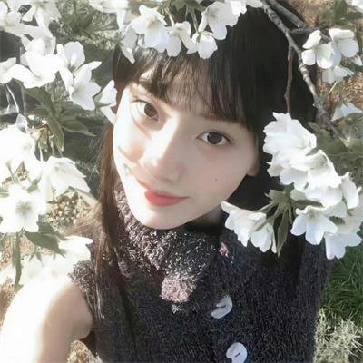 虫图腾